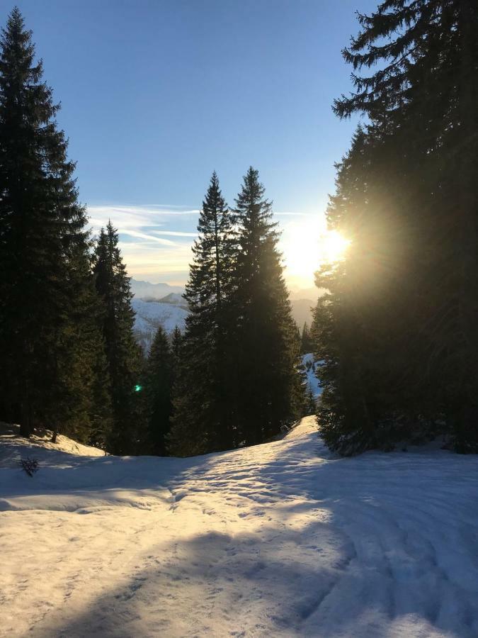 Apartment Kaprun ニーダーンジル エクステリア 写真